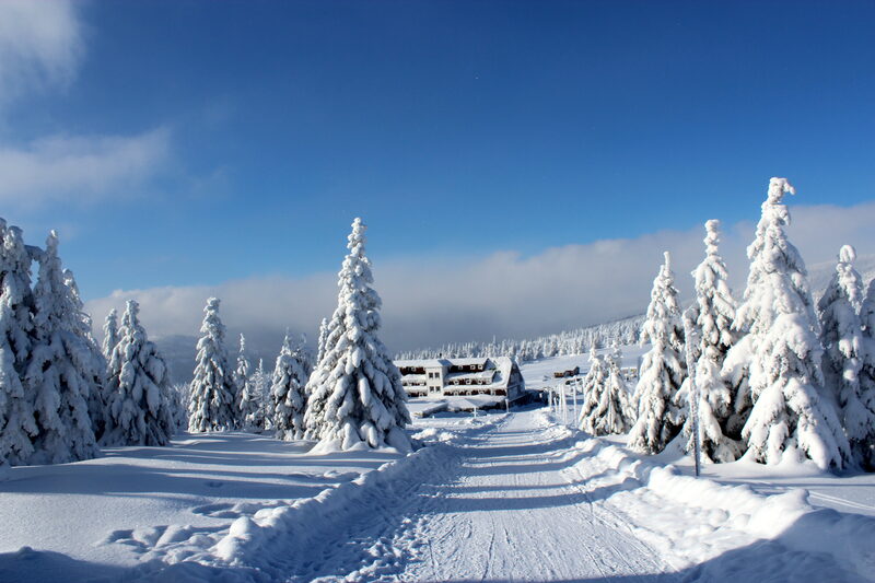 Winterwanderung zur Elbtalsperre